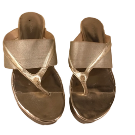 CalvinKlein Pewter/Gold wedge Sandal